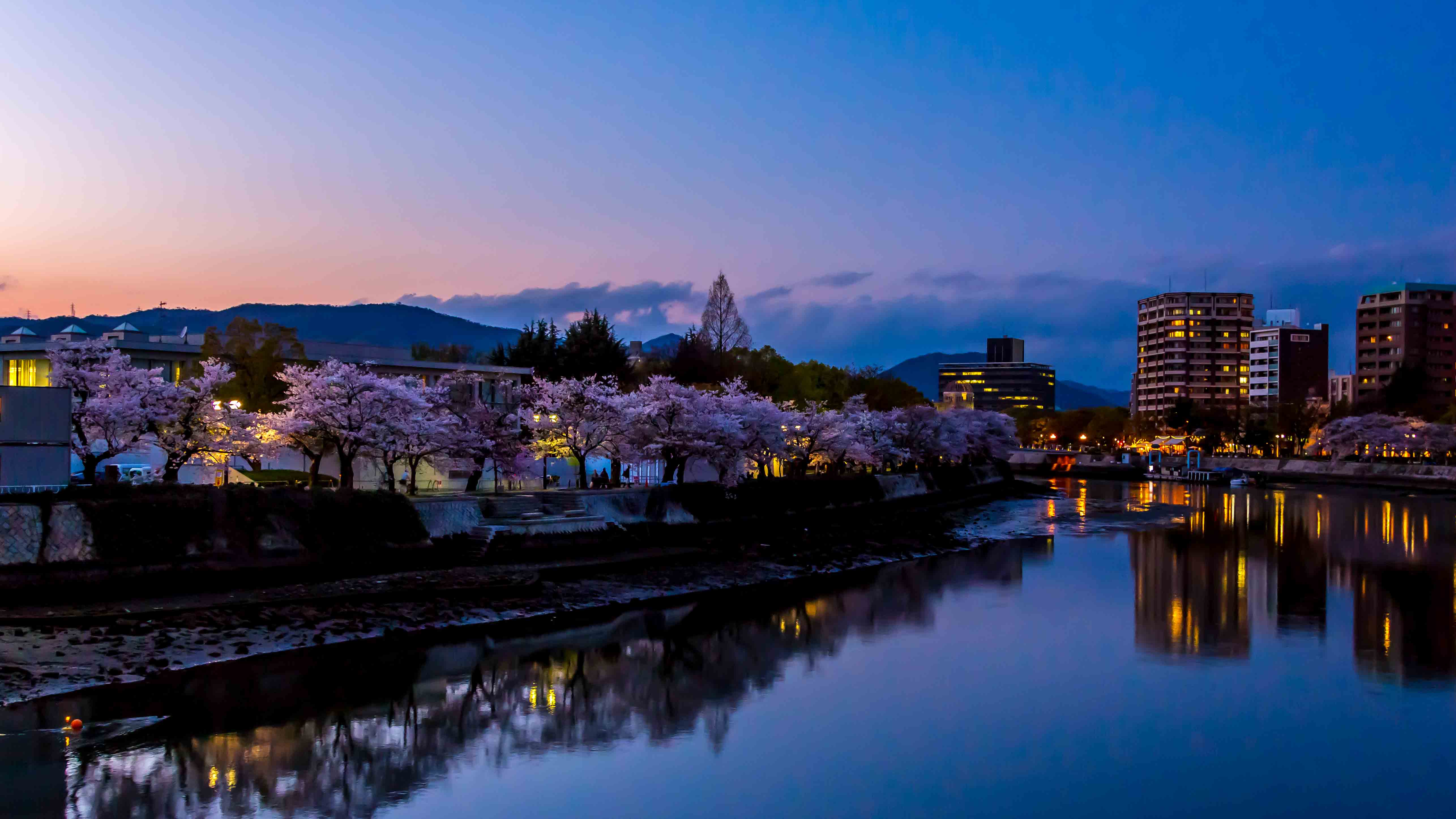 Hiroshima at sunste during cherry blossom season.